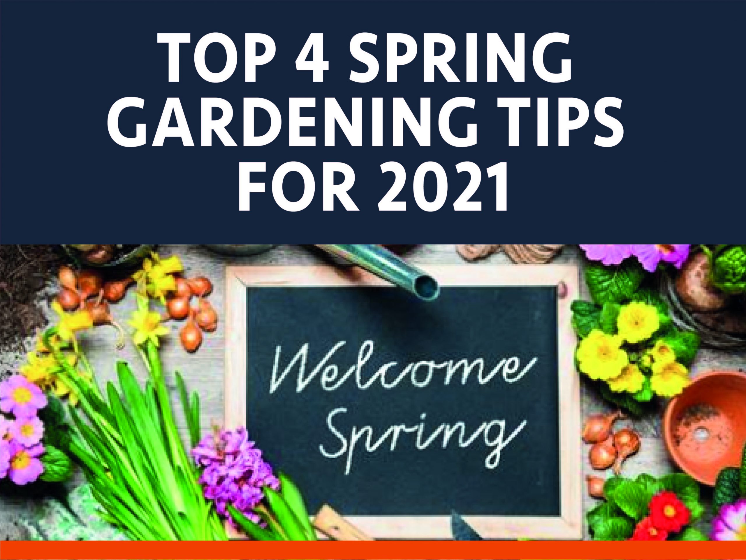Top 4 Spring Gardening Tips For 2021 Instant Tool & Plant Hire